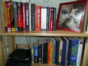 bookcase My Bookshelves