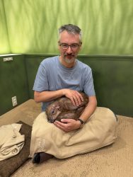 That's a pair of baby potbelly pigs, sleeping atop each other on my lap, because they were inseparable.